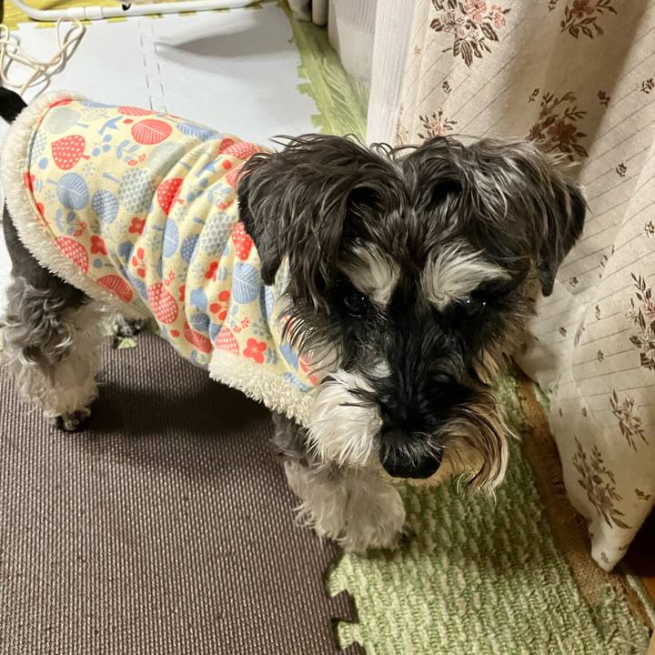 77bf8688 4e0a 4768 8e51 ec57971ab026 1773093225596