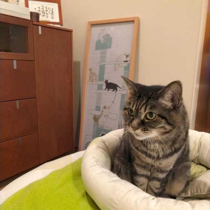 77bf998d ef91 4d92 a658 aa1029c3be7d 1762900315826