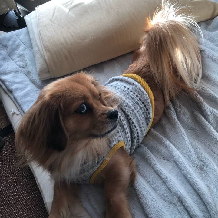 77bfb521 6418 4eb5 980b 7da152b454cd 1543016192294