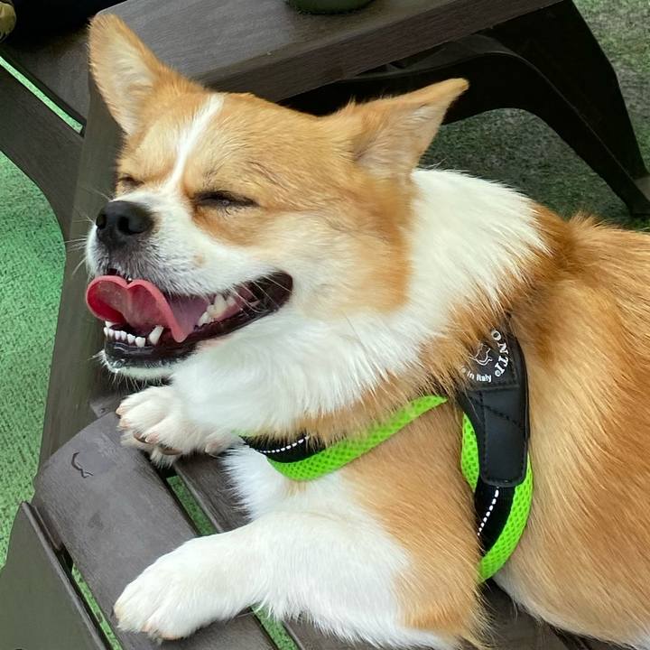 77bfc941 c80b 4d3c a862 8554649baeed 1629588824110