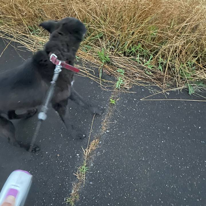 77bfe288 4ca6 4986 87da db24fdc02eb2 1688238939694