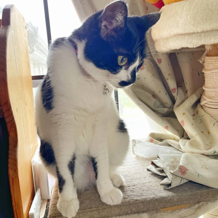 77bfe3c9 d262 4962 b09e d08be8207362 1752287115633