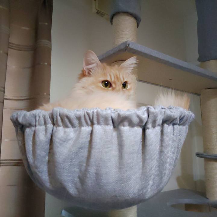 77bfe827 fe2f 434e ba44 ca47e0f0563a 1705720893908