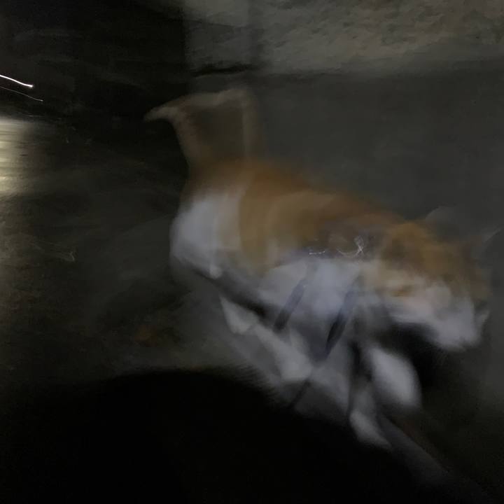 77c009f2 e5ab 49a3 9d38 627fa8b74c38 1578562675742