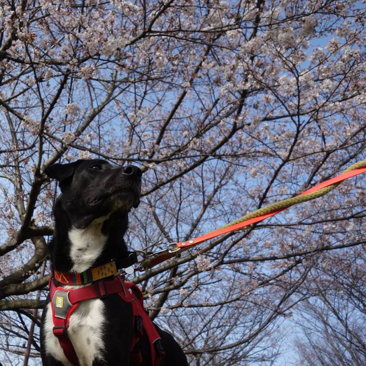 77c032f6 c707 42d8 91e6 f1523a7f67cf 1584840151987