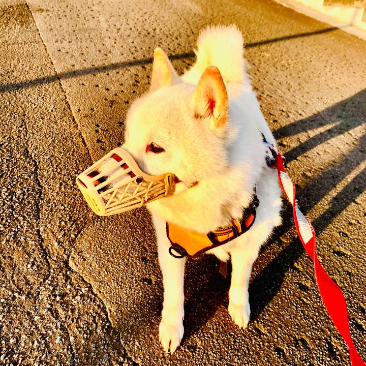 77c044a7 facd 40e2 af25 f2a2d77b9f1d 1619642382860