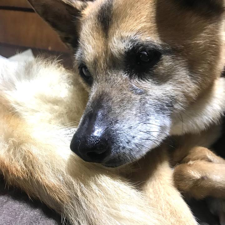 77c04e18 6082 4b47 bc0d 9fbd0b8728f6 1556190014821