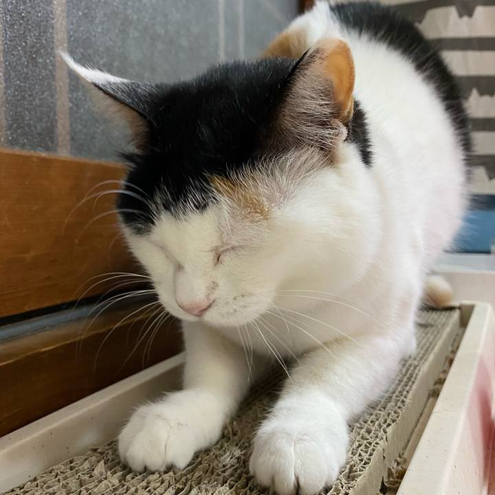 77c0bc9f 0594 44be bc70 55cf9592a452 1685715071346