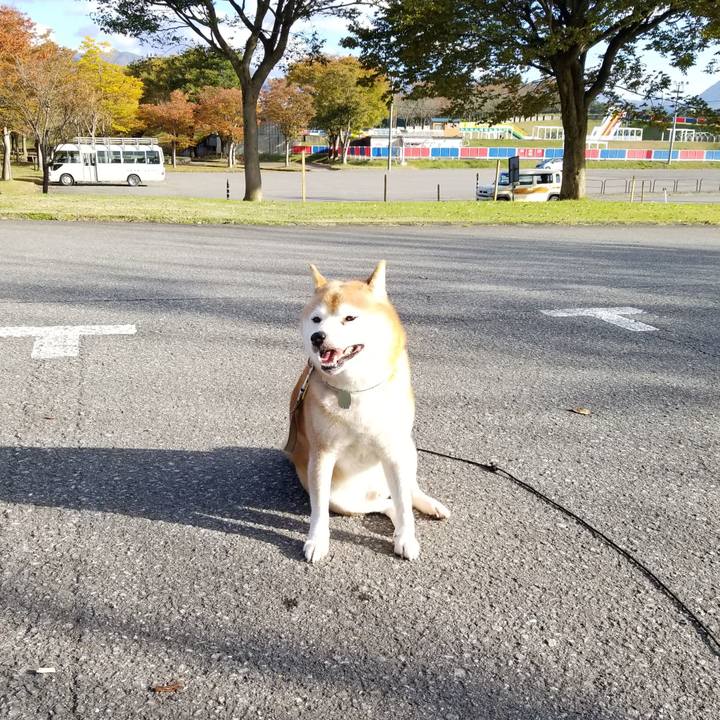 77c0e05b 0a57 4c87 b165 a976c1cabc9c 1635400740943