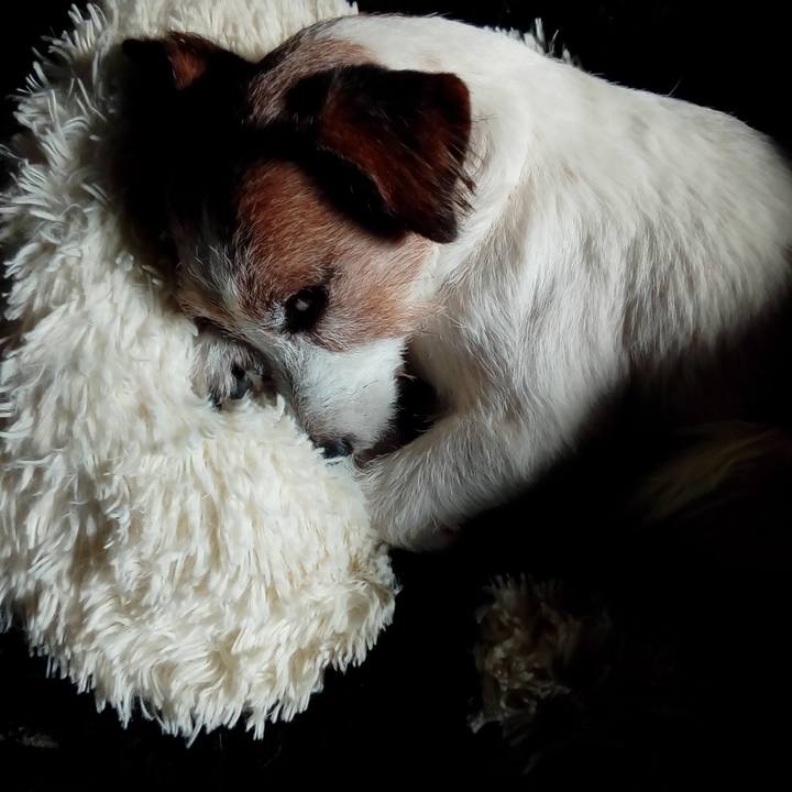 77c115f5 ac84 42ae ab9a ae0bb4a2f758 1543485514003