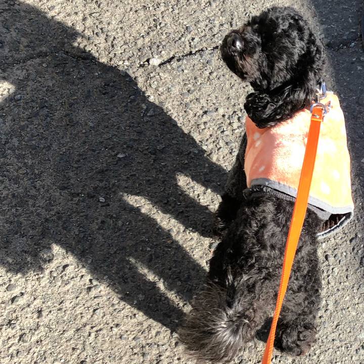 77c1688e 86cc 4315 afa4 6ab691e7a9e7 1549937984344