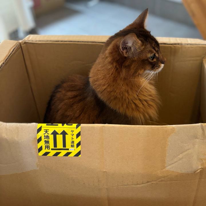 77c178d4 2f06 4942 928b 3ca09ffe51d6 1751546106573