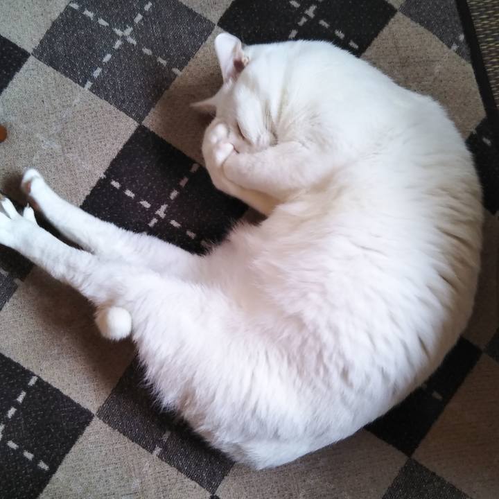 77c18c39 12a2 4cda 9795 98ac2859013a 1581042197844