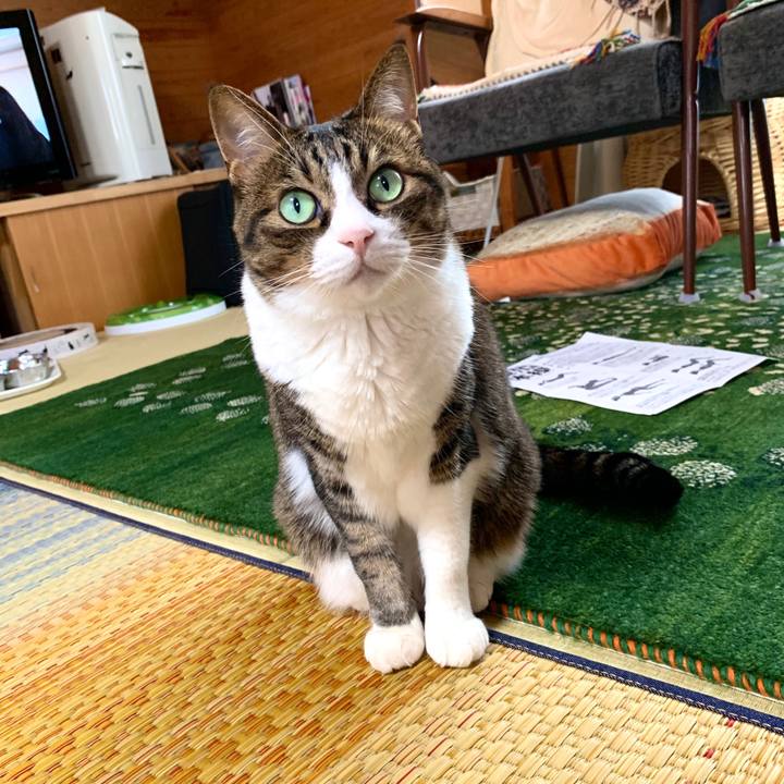 77c19169 f8f9 4b6d 80a3 d838e63e0081 1594877377875