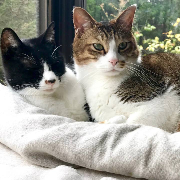 77c19f5d 5d49 402a bdbd 3bbb5eb275b0 1554969656185