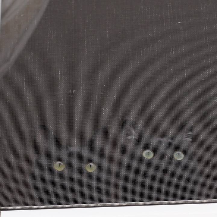 77c1e4a5 890c 4bb4 bb5c 95611e64d3fb 1623023354306