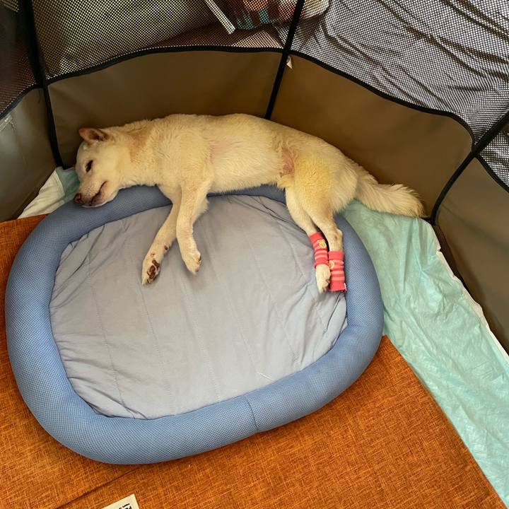 77c22001 8c28 4cc5 ad88 f0bb3e306a8a 1662707867893