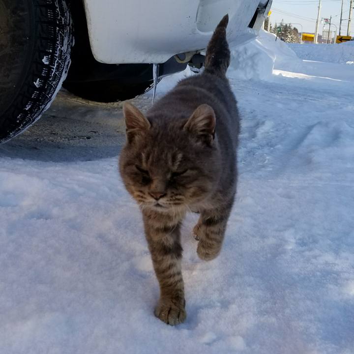 77c2304b c1f3 4003 8e60 c951457ed885 1518156249018