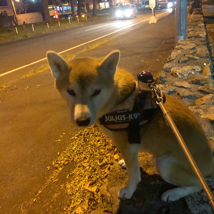 77c24e69 b020 4b09 874b 5d11012d6b0e 1572684875336