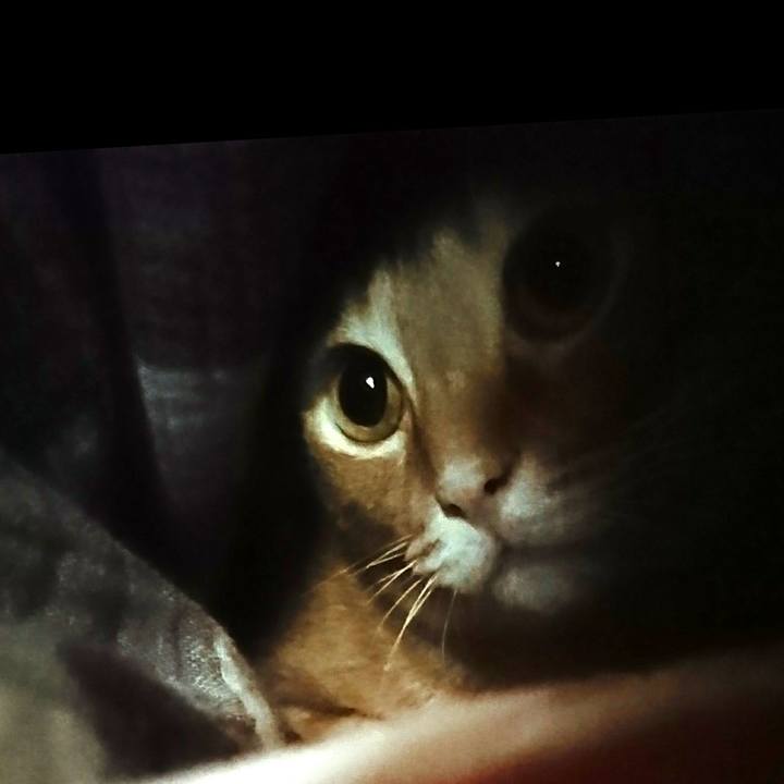 77c26d5d 0d88 49bf 966f 69bdeae0e72f 1549227332848