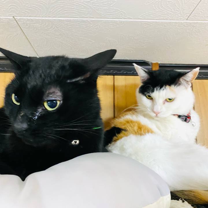 77c28a35 1677 4b72 9f5f 98e77f67d7fa 1682288011212