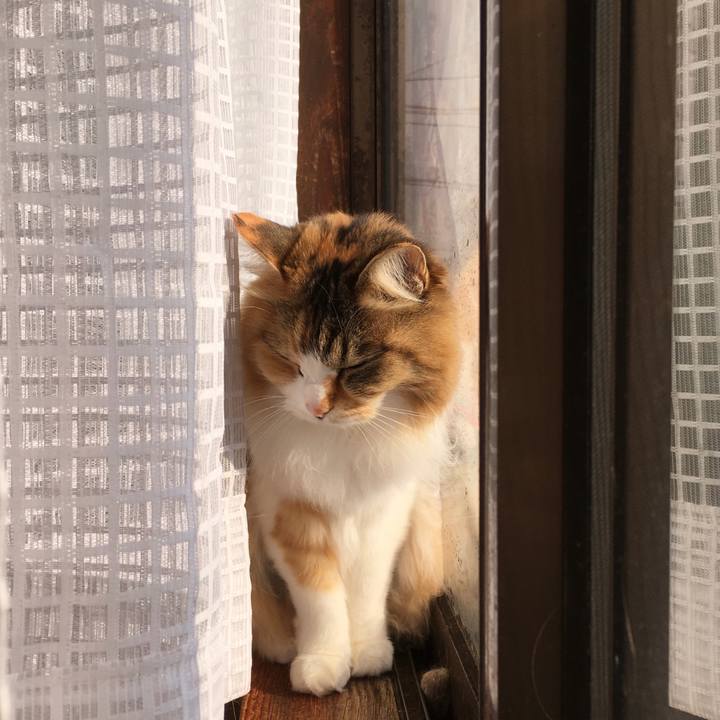 77c2e7bc 8ab6 40f7 abd4 b15d937d5099 1615159903922