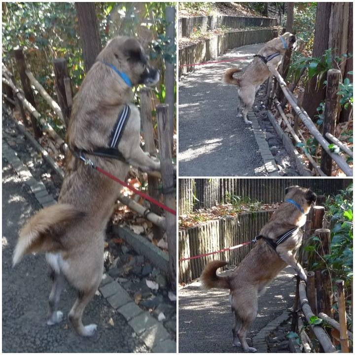 77c2fdbf 42ac 492d 9b5c 9b18a88ad17f 1578523682732