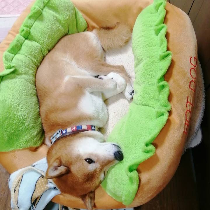 77c306ba e721 4ff7 81c9 65375c95c5cc 1687183907278