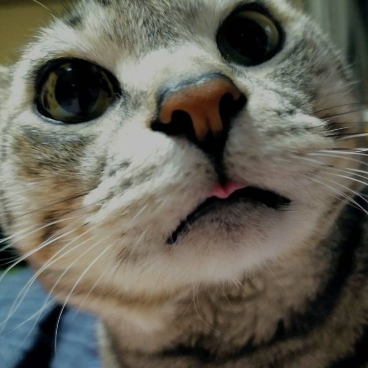 77c308f2 55f0 407e 8493 bb469006e0cf 1683543306005