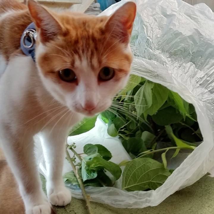 77c339ff d48a 4df6 b110 66d3f4bfac95 1528013944253