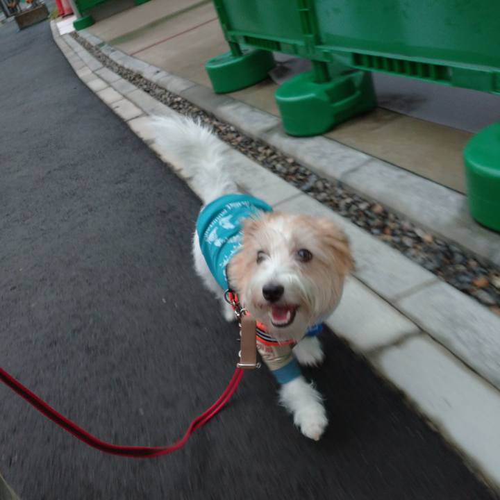 77c37804 0523 458c abf4 46779f079d82 1757718564714