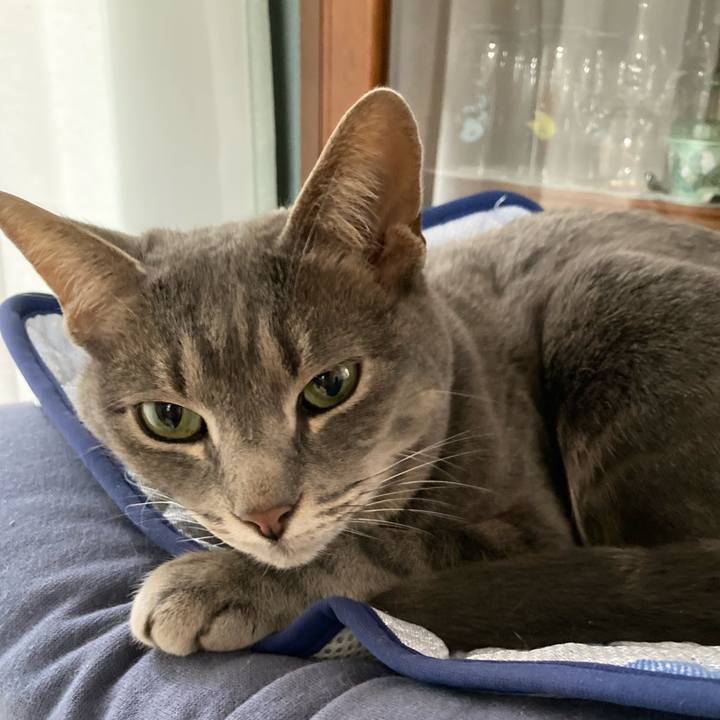 77c38c03 4484 4b36 b458 51fdcdae528e 1716627562209