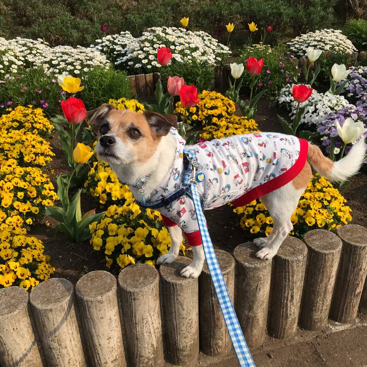 77c3af03 b641 473a 8b3c 1d3491234e9d 1554631822379