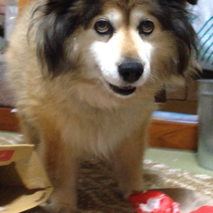 77c3c5d2 bfde 4c91 9459 3ce675021202 1664270054972