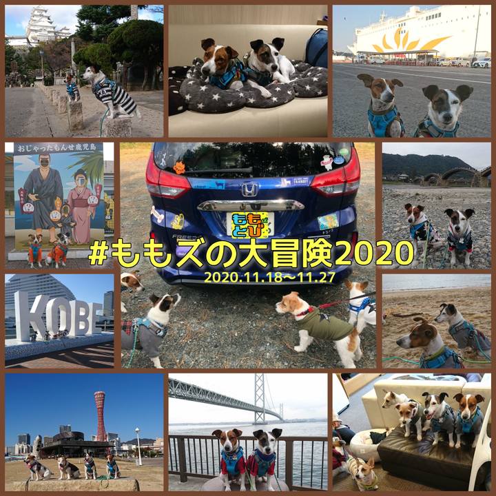 77c41c5c 78b2 4c74 ad64 1fb41302d854 1638010307806