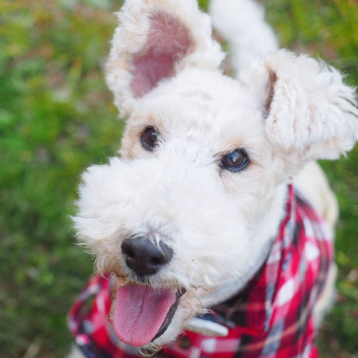 77c41fe5 6594 4cb4 8e0e 1f2633385801 1553091396918