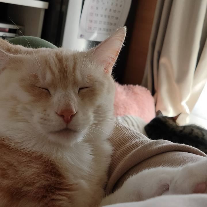 77c44e0e 223a 4fec 9752 eef28a85d34c 1678772293034