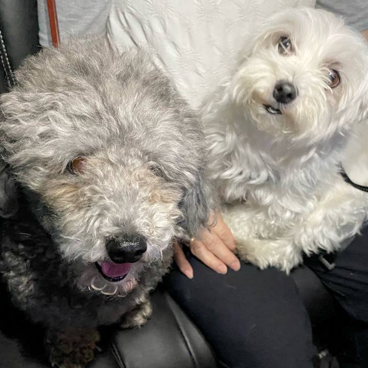 77c46d87 cb02 46e8 b6fa c0a209864f82 1684323264546