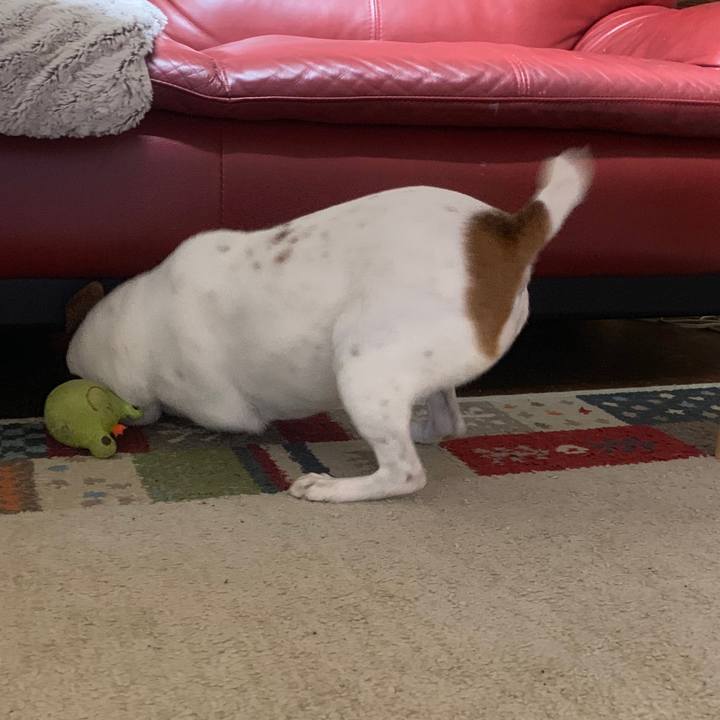 77c4d826 9607 4a33 81f1 b19628fae39a 1542290754488