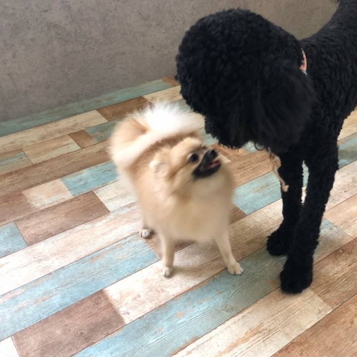 77c4ef59 30bc 48cc ac66 a2d036dbd497 1625492035286