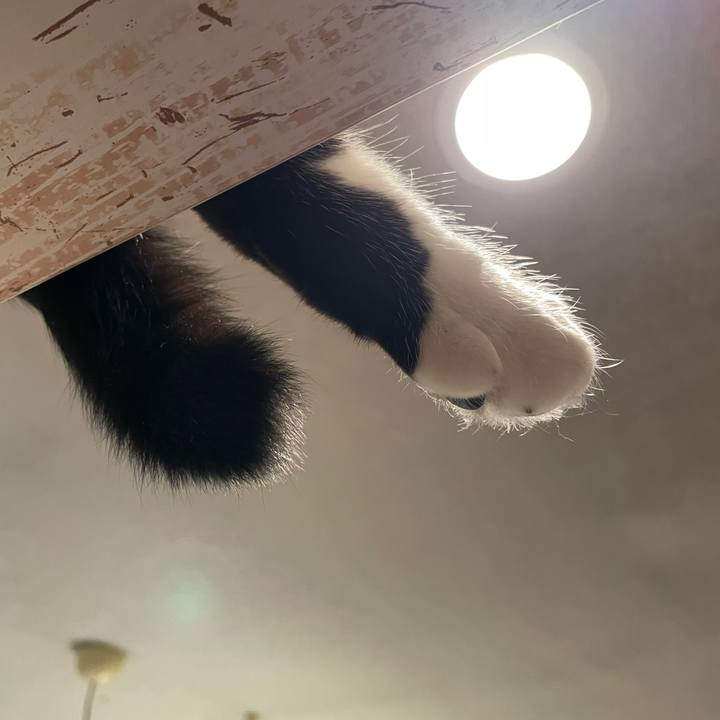 77c5061f 6639 42c6 8576 0a6fe24e0be0 1651244011721