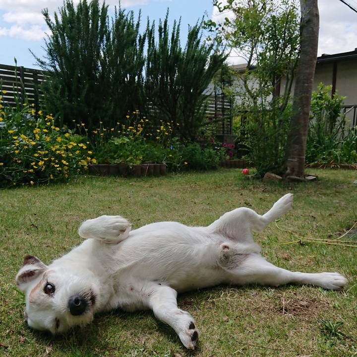 77c53d64 ff4a 4028 8b7a 3f174a7d2551 1559173570720