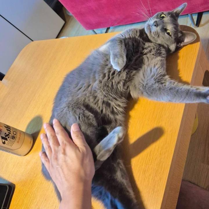 77c5908c 6d36 4ab4 ac62 5c6503d3ab8c 1754129214855