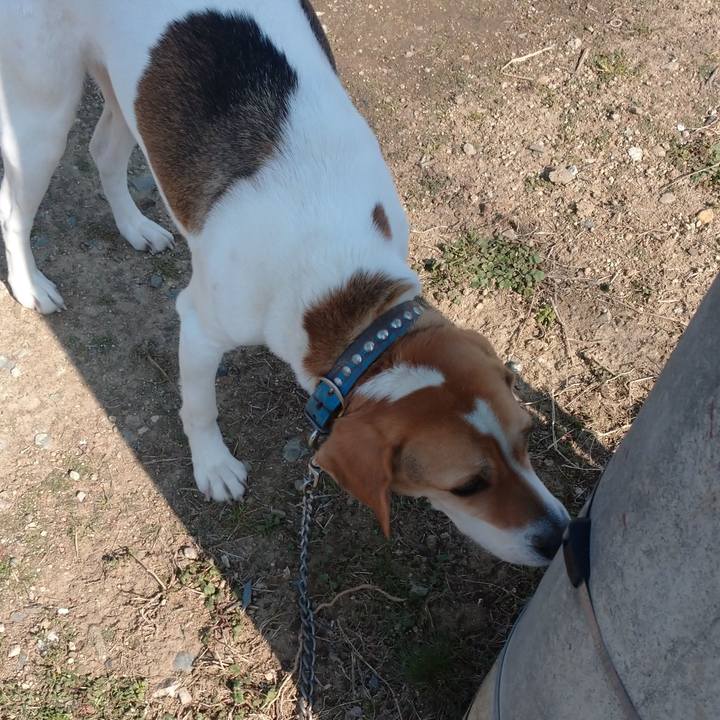 77c5ba25 63ad 42d1 a0c7 05eaad447b88 1613808726643