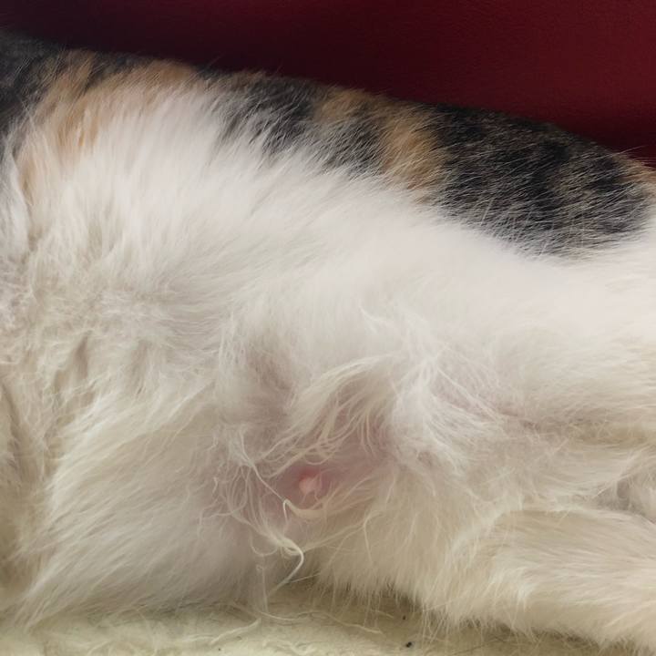 77c5bc0b c90b 408d b8ff 1d4fe191cf02 1614122320741