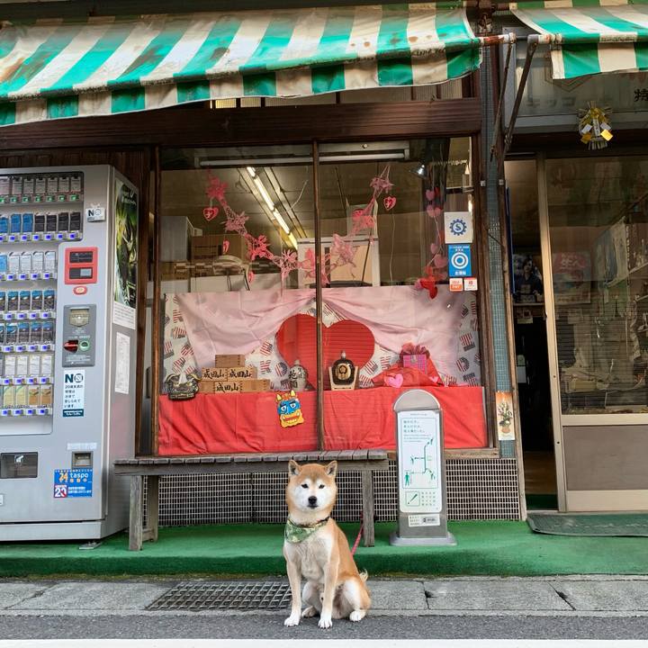 77c5cd18 41c1 490c aba6 a70841550d68 1612088904347