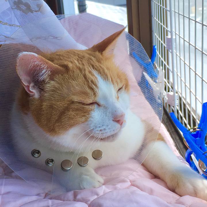 77c5cecb 314a 4ba9 a010 1ba6cec1f774 1591768693023