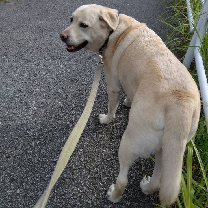 77c5d758 4d34 44ef b6d1 ea2f8761c647 1697629370119