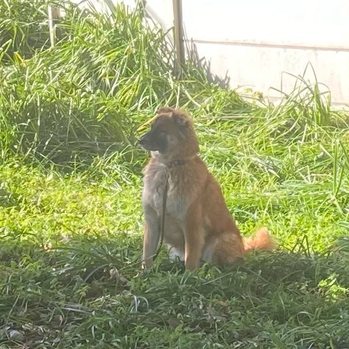 77c5d91a 2a1c 47b7 b14e 15ca921b8183 1773475016580