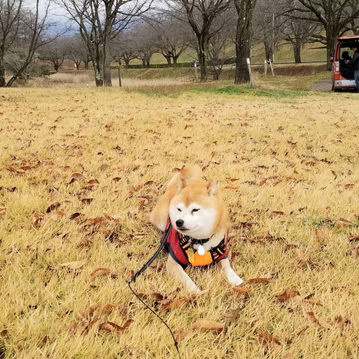 77c5eee4 5c48 4f95 9bc1 0e9d5bb56857 1607750093764